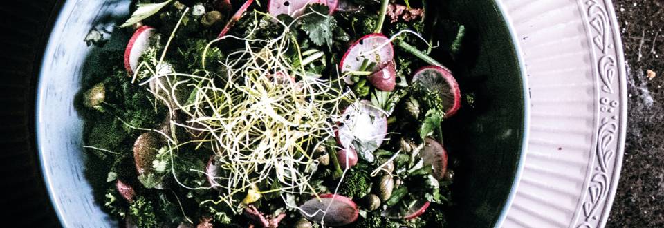 Salade d’herbes aromatiques